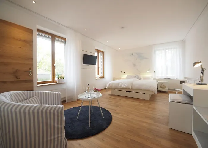 Mini-hôtel Schwanen