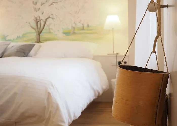 Mini-hôtel Schwanen